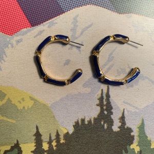 Vintage Gold and royal blue hoop earrings